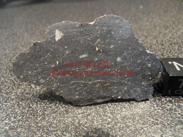 lm_nwa6221_masson[1].jpg