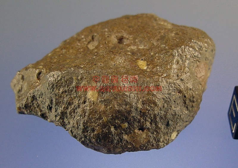 lm_shisr_161_ext_m[1].jpg