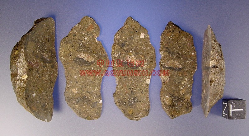 lm_shisr_161_slices_m[1].jpg