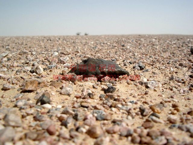 lm_sau300_field[1].jpg