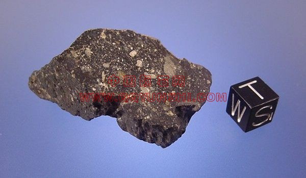 lm_nwa4472mainmass[1].jpg