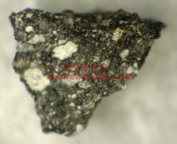 lm_yam983885_342[1].jpg