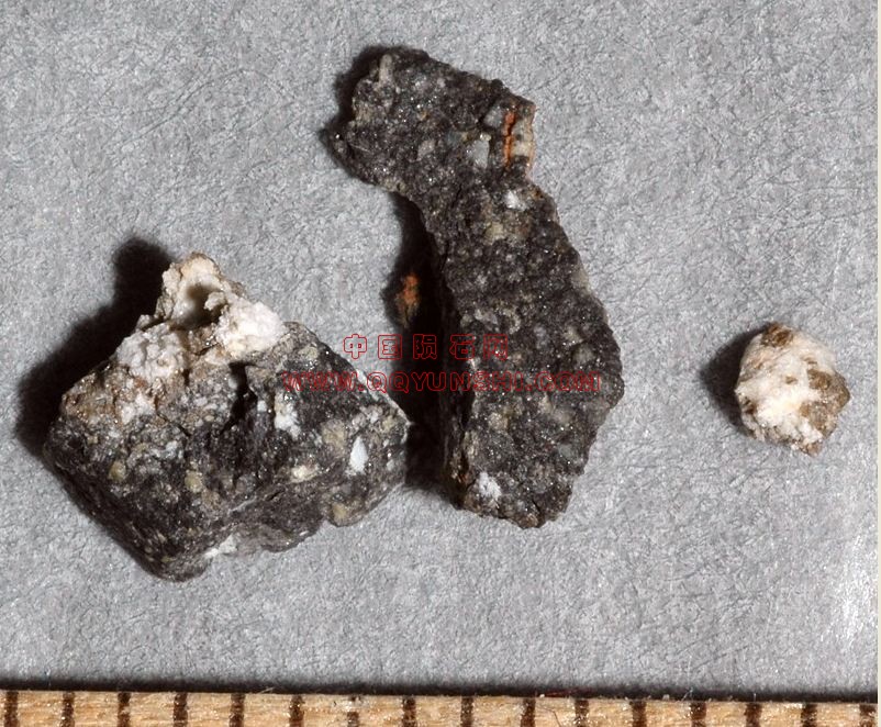 lm_nwa5153_2581m[2].JPG