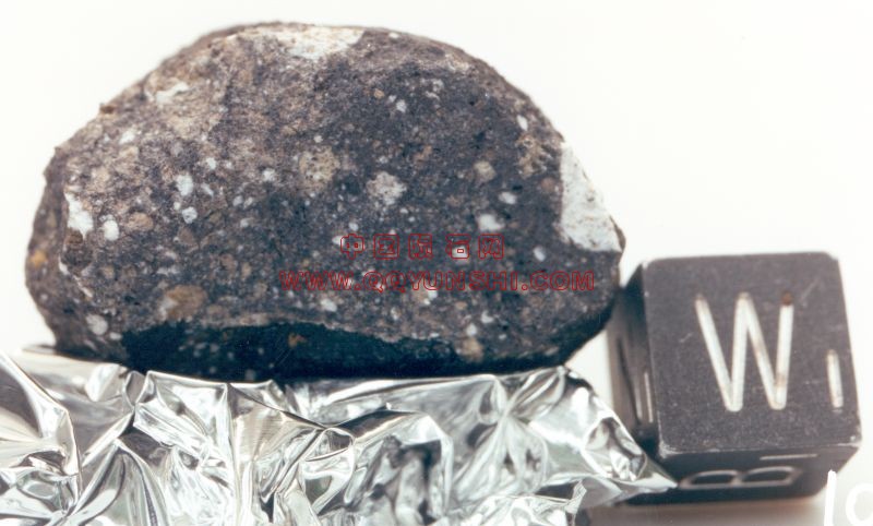 lm_eet87521_2l[1].jpg