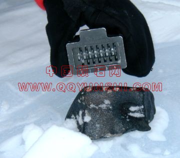 lm_lap02205_in_field[1].jpg