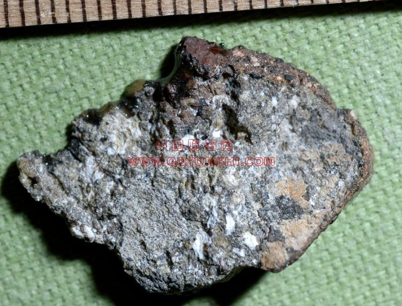 lm_nwa2727_rlk_4423l[2].JPG