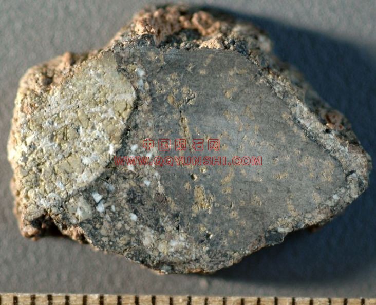 lm_nwa3333_rlk_5161s[2].JPG