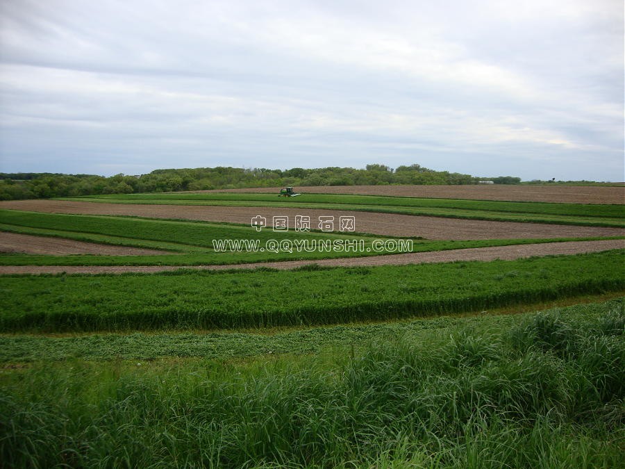 dsc01346cut-field[1].jpg
