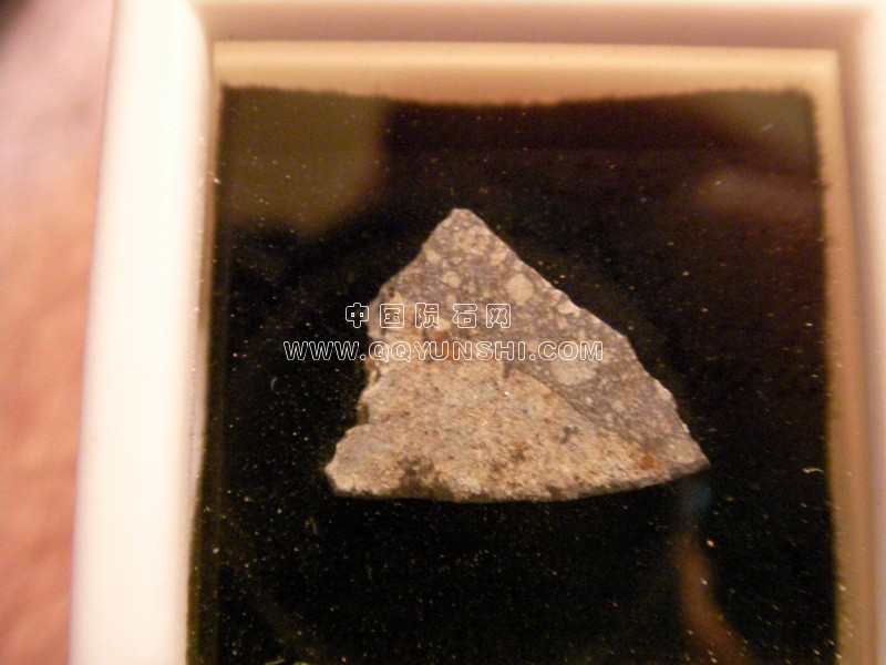 52090_20020_244[1].jpg