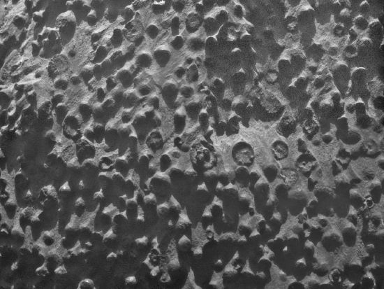 7832_1347982779_1261597.jpg