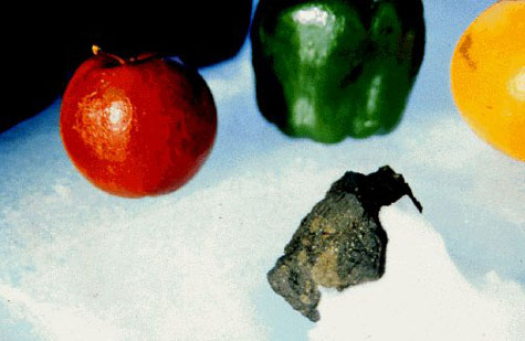 12-still_life2[12].jpg