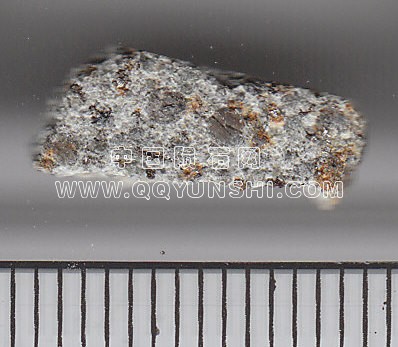 barwel[1] (11).jpg