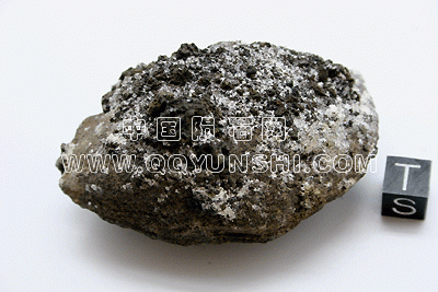00001mar2009-096[1].gif