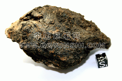 2010may137[1].gif