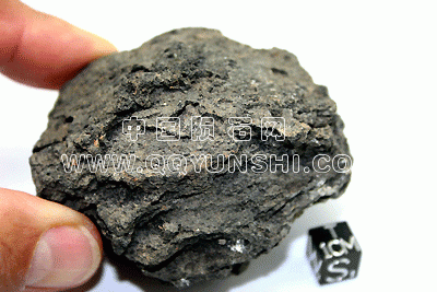 2010may161[1].gif