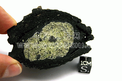 2010may163[1].gif