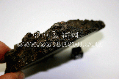 2010may167[1].gif