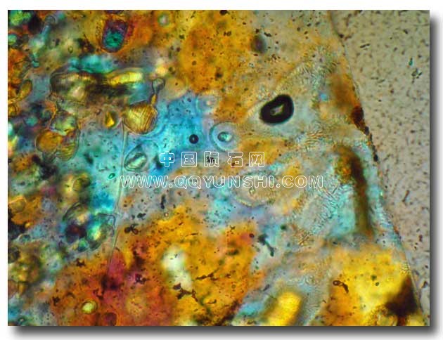 Crust-0.25-mm-2[1].jpg