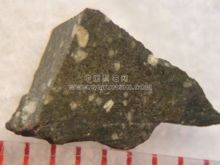6892_5933_2585[1].jpg