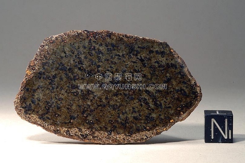 NWA4925fs-a[1]整片的新NWA 4925   奇洛德尼公司继承人.jpg