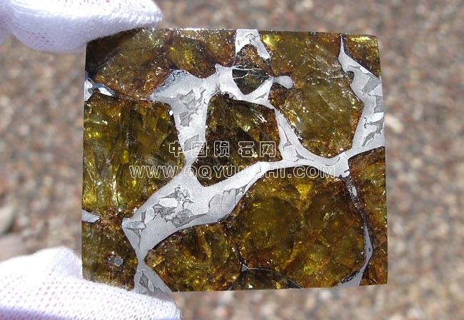 fukang-27-6-i[1].jpg