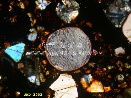 不同的球粒H3球粒陨石布朗菲尔德4(晶体取向约BXA 2V = 75°。 球粒直径240μ ).jpg