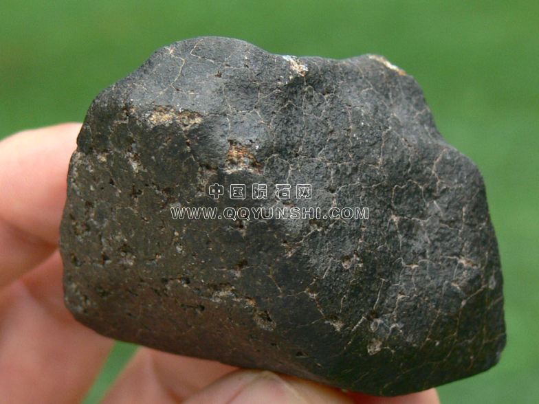 OC-FB-55-08(indiv.06-162.6g)-c[1].jpg