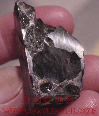 455_4278_1224[1].jpg