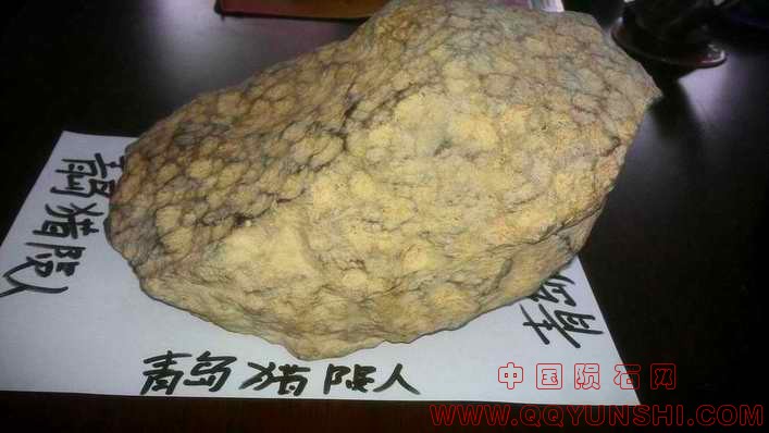 整体侧面照片