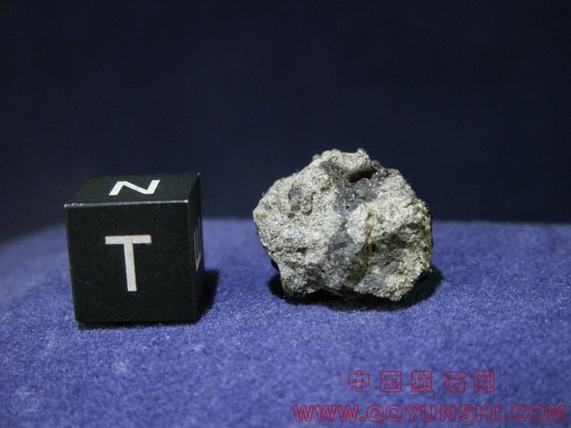 tissint_c39_03[1].jpg