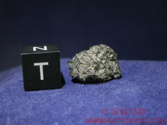 tissint_c41_03[1].jpg