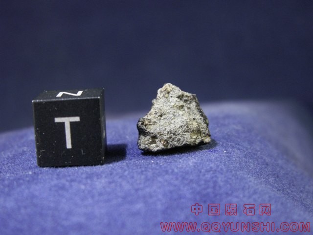 tissint_c45_04[1].jpg