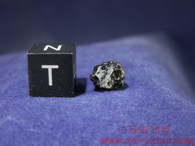 tissint_c49_02[1].jpg