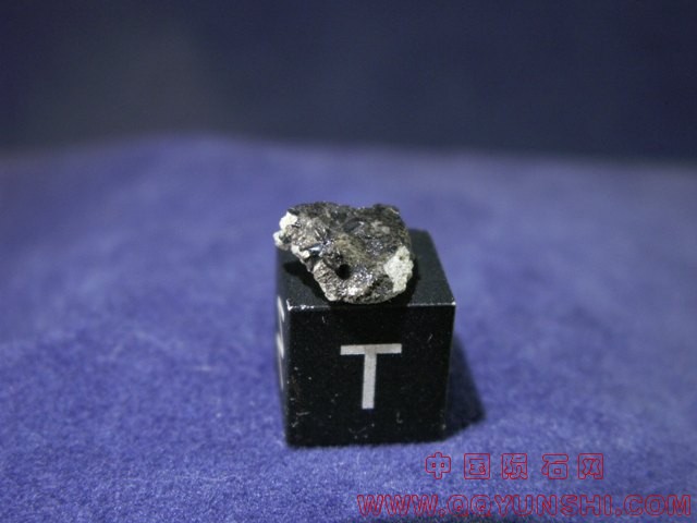 tissint_c53_01[1].jpg
