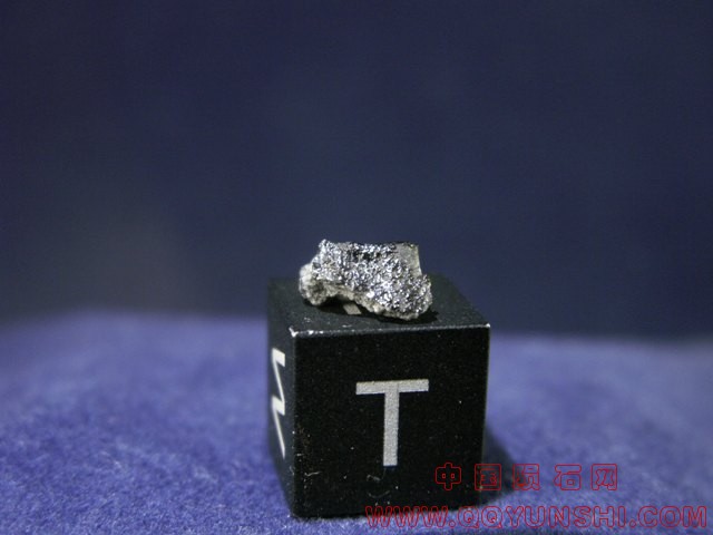 tissint_c56_02[1].jpg
