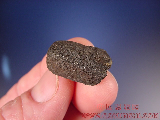 44876_6046_183.jpg