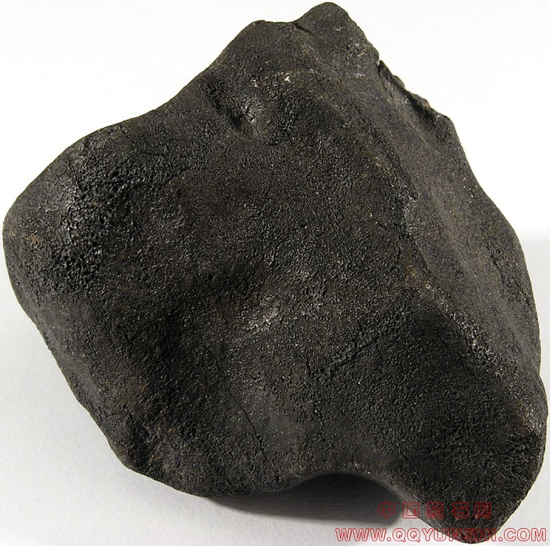 44876_8093_2629.jpg