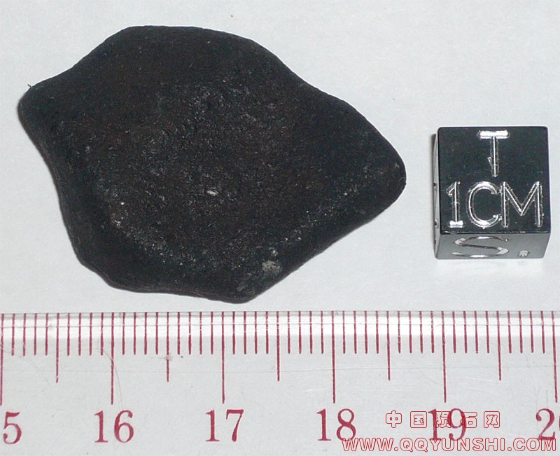 44876_8344_2585.jpg