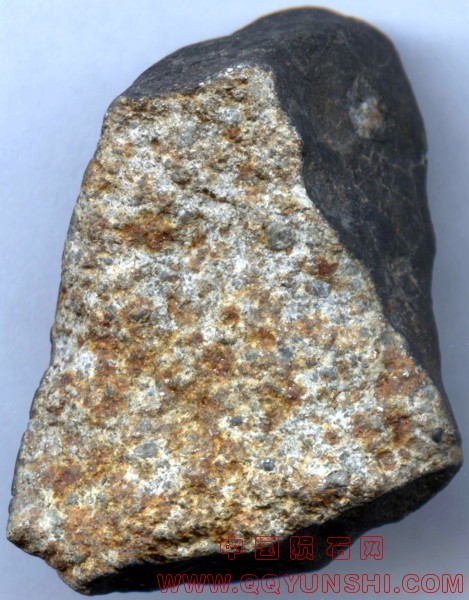 44876_13443_2689.jpg