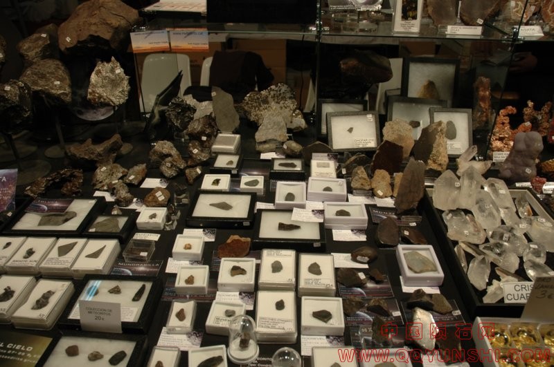 dsc_3434[1].jpg
