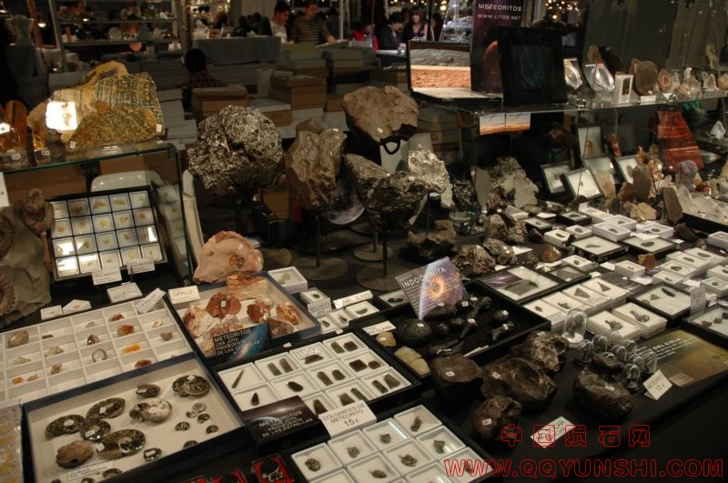 dsc_3435[1].jpg