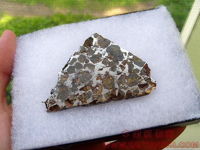 5130_7844_1226.jpg