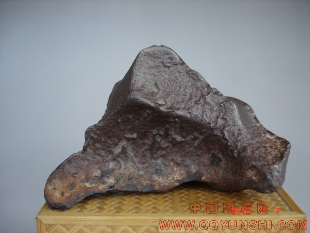 DSC08781.JPG