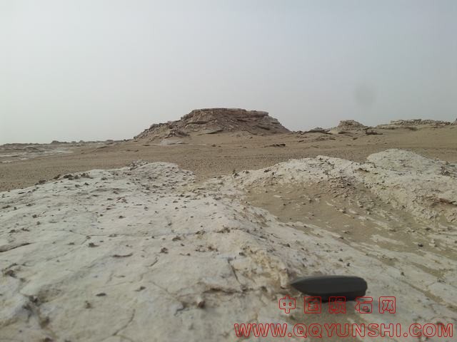 20121117_135215.jpg