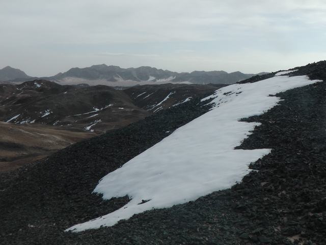 S2640039.JPG