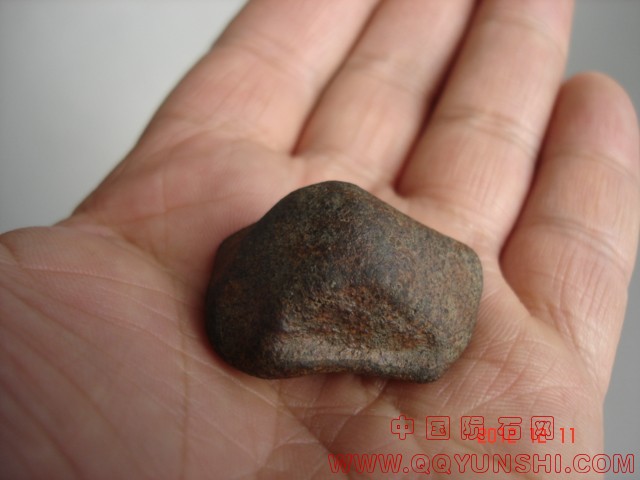DSC09540.JPG