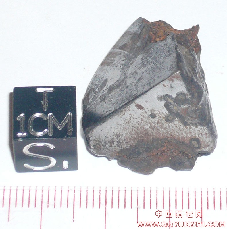 7732_8972_2585.jpg