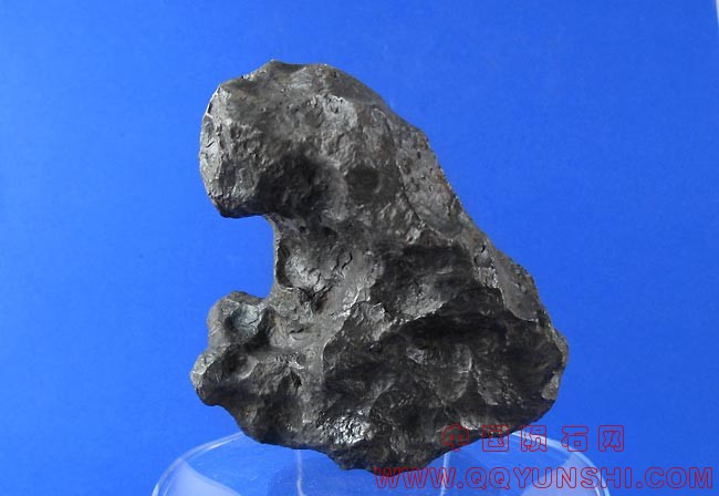 陨石-猴campo-1251-i.jpg