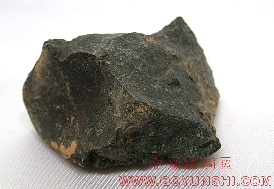 murray-37_2.jpg