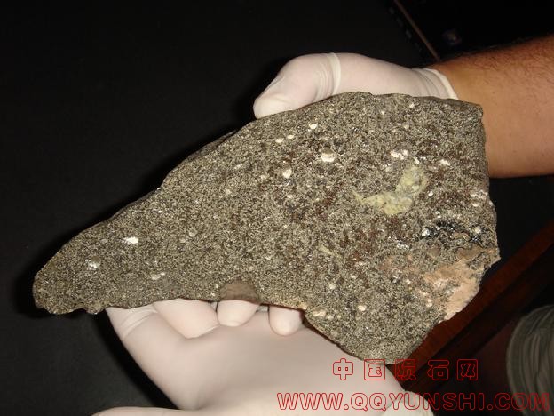 624_DSC09747[1].jpg